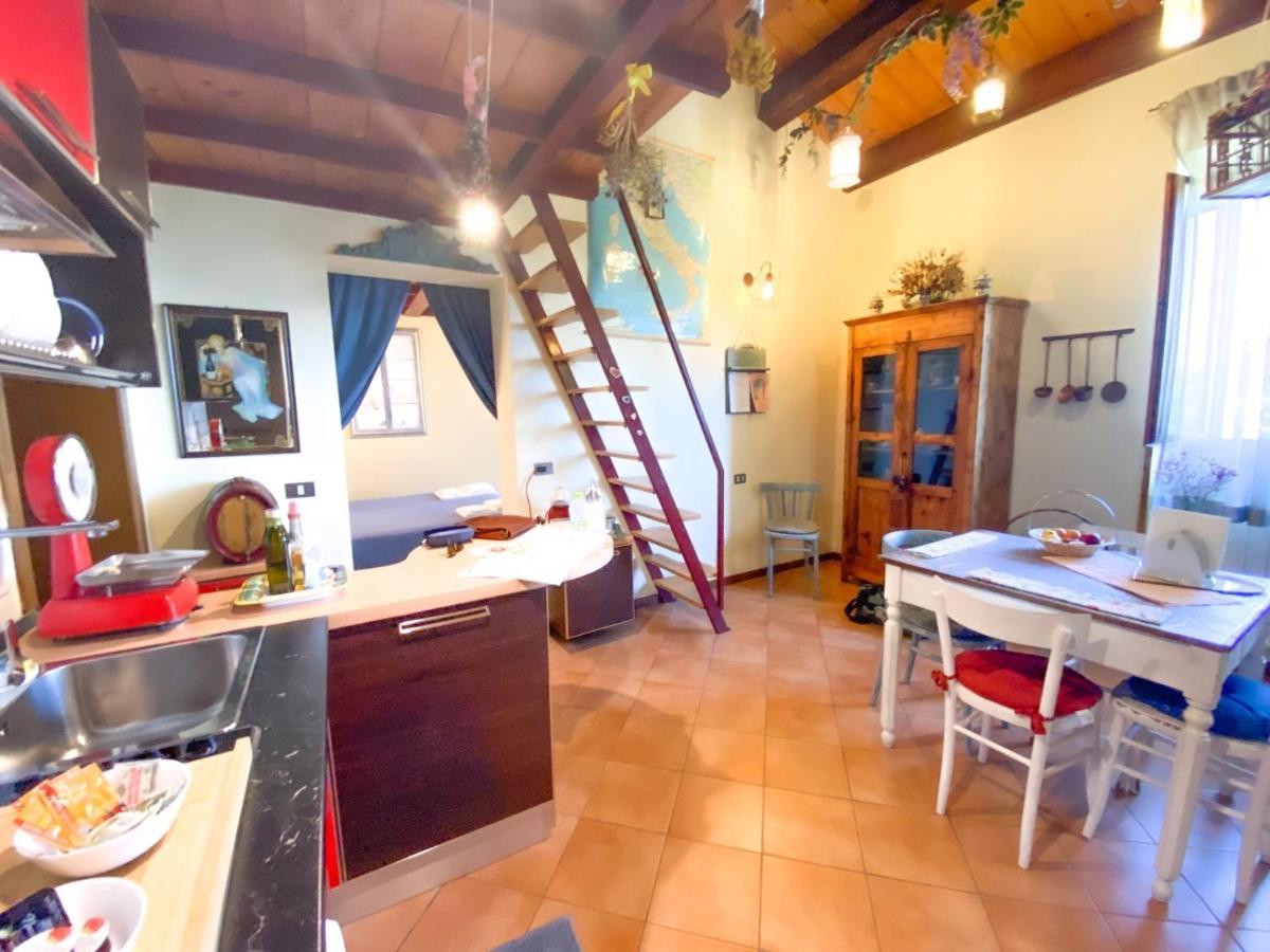Ca' Tomassino Holiday Apartments Urbino Exteriör bild